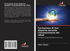 Buchcover von Formazione di fasi disperse durante l'incenerimento dei rifiuti