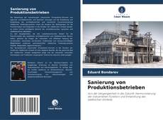 Bookcover of Sanierung von Produktionsbetrieben