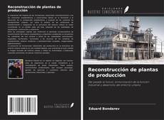 Reconstrucción de plantas de producción的封面