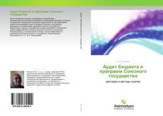 Аудит бюджета и программ Союзного государства kitap kapağı