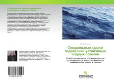 Специальные задачи гидравлики устойчивых водных потоков kitap kapağı