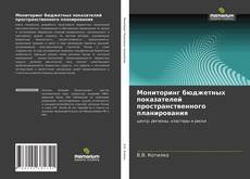 Buchcover von Мониторинг бюджетных показателей пространственного планирования