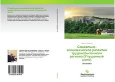 Buchcover von Социально-экономическое развитие трудоизбыточного региона (Упущенный шанс)