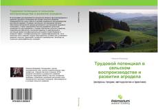 Buchcover von Трудовой потенциал в сельском воспроизводстве и развитии агродела