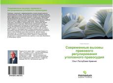 Buchcover von Современные вызовы правового регулирования уголовного правосудия