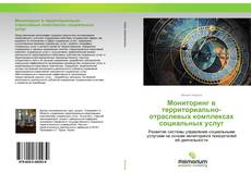 Copertina di Мониторинг в территориально-отраслевых комплексах социальных услуг