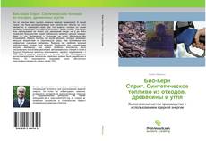 Buchcover von Био-Керн Сприт. Синтетическое топливо из отходов, древесины и угля