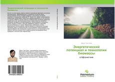Bookcover of Энергетический потенциал и технологии биомассы