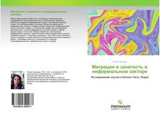 Capa do livro de Миграция и занятость в неформальном секторе 