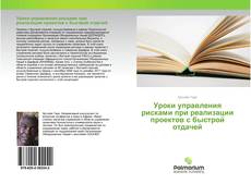 Обложка Уроки управления рисками при реализации проектов с быстрой отдачей