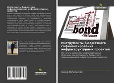 Buchcover von Инструменты бюджетного софинансирования инфраструктурных проектов