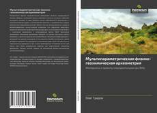 Buchcover von Мультипараметрическая физико-геохимическая археометрия