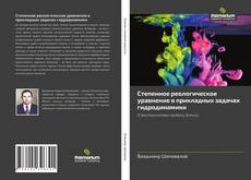 Buchcover von Степенное реологическое уравнение в прикладных задачах гидродинамики