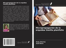 Copertina di Micropropagación de la orquídea Vanilla planifolia