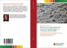 Bookcover of Módulo de elasticidade de concretos produzidos no Triângulo Mineiro/MG