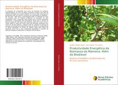 Copertina di Produtividade Energética da Biomassa da Mamona: Além do Biodiesel