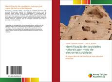 Bookcover of Identificação de cavidades naturais por meio de eletrorresistividade