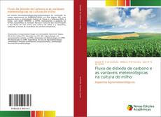 Borítókép a  Fluxo de dióxido de carbono e as variáveis meteorológicas na cultura do milho - hoz