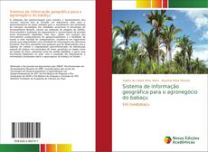 Portada del libro de Sistema de informação geográfica para o agronegócio do babaçu