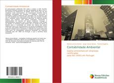 Bookcover of Contabilidade Ambiental