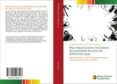 Bookcover of Macrofauna como indicadora da qualidade do solo em diferentes usos