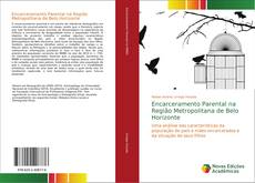 Portada del libro de Encarceramento Parental na Região Metropolitana de Belo Horizonte