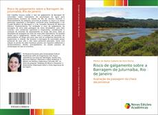 Risco de galgamento sobre a Barragem de Juturnaíba, Rio de Janeiro kitap kapağı