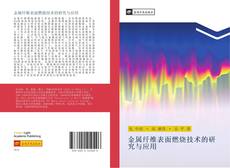 Capa do livro de 金属纤维表面燃烧技术的研究与应用 