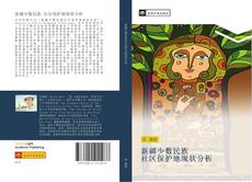 Bookcover of 新疆少数民族 社区保护地现状分析