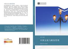 中国文化与财务管理 kitap kapağı