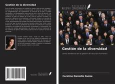 Gestión de la diversidad的封面