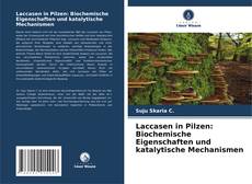 Bookcover of Laccasen in Pilzen: Biochemische Eigenschaften und katalytische Mechanismen