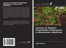Lacasas en Hongos: Propiedades bioquímicas y mecanismos catalíticos的封面