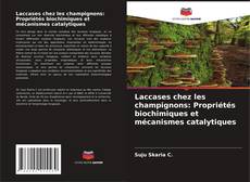 Borítókép a  Laccases chez les champignons: Propriétés biochimiques et mécanismes catalytiques - hoz