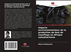 Copertina di Impacts environnementaux de la production de bois de chauffage en Afrique subsaharienne