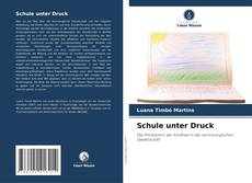 Bookcover of Schule unter Druck