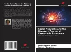 Bookcover of Social Networks and the Recovery Process at Fazenda da Esperança