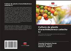 Borítókép a  Culture de plants d'arachide(Areca catechu L) - hoz