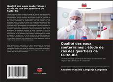 Borítókép a  Qualité des eaux souterraines : étude de cas des quartiers de Cuito-Bié - hoz