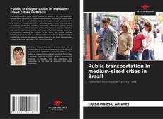 Bookcover of Public transportation in medium-sized cities in Brazil