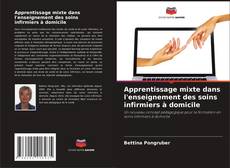 Borítókép a  Apprentissage mixte dans l'enseignement des soins infirmiers à domicile - hoz