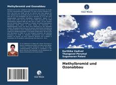 Bookcover of Methylbromid und Ozonabbau