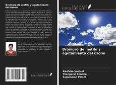 Bromuro de metilo y agotamiento del ozono的封面