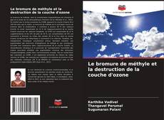 Borítókép a  Le bromure de méthyle et la destruction de la couche d'ozone - hoz