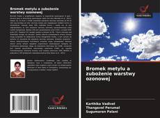 Copertina di Bromek metylu a zubożenie warstwy ozonowej