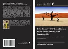 Boko Haram y AQMI en el Sahel: financiación y técnicas de investigación的封面