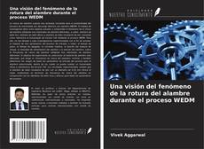 Copertina di Una visión del fenómeno de la rotura del alambre durante el proceso WEDM