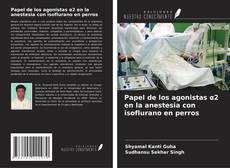 Papel de los agonistas α2 en la anestesia con isoflurano en perros kitap kapağı