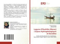 Capa do livro de Lagune d’Oualidia (Maroc) : Enjeux Hydrogéologiques et Durables 