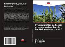 Programmation de l'azote et du potassium dans le blé (Triticum aestivum L.) kitap kapağı